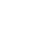 home-icon